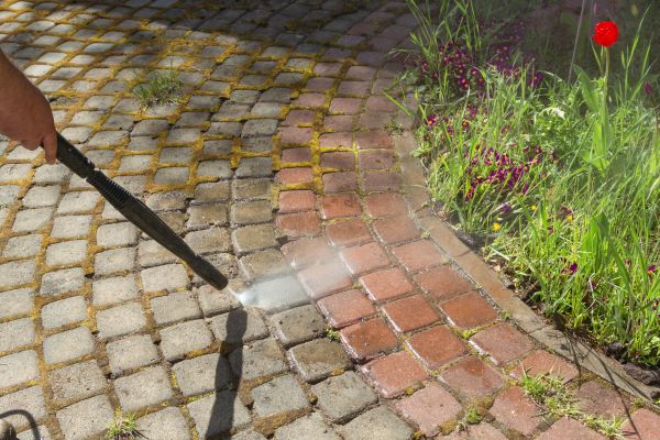 Cost of Walkway Cleaning Service in Petaluma