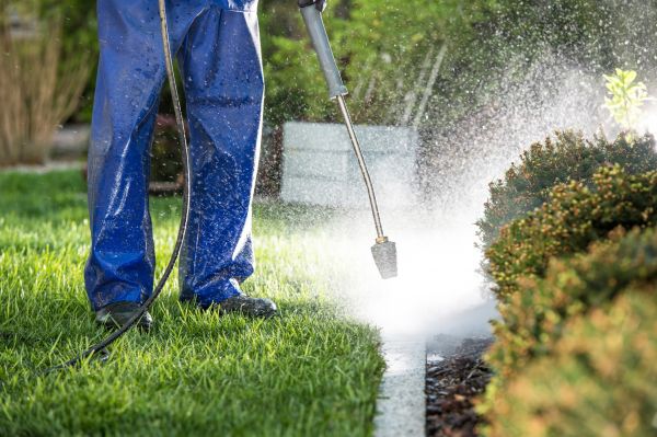 Cost of Curb Cleaning in Petaluma