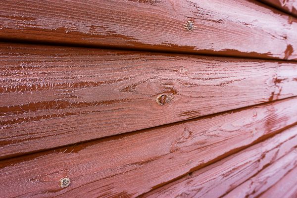 Cost of Cedar Siding Cleaning in Petaluma