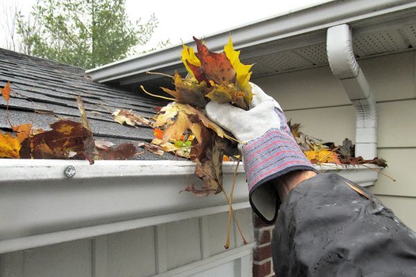 Cost of Eaves Cleaning in Petaluma