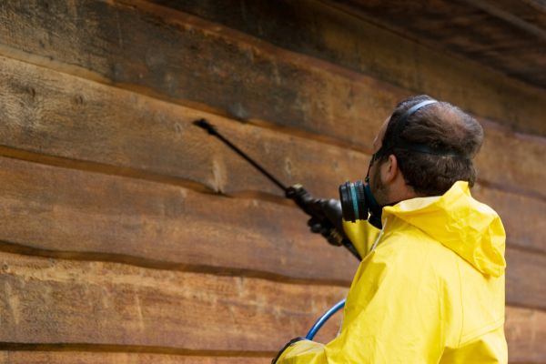 Cost of Cedar Siding Washing in Petaluma