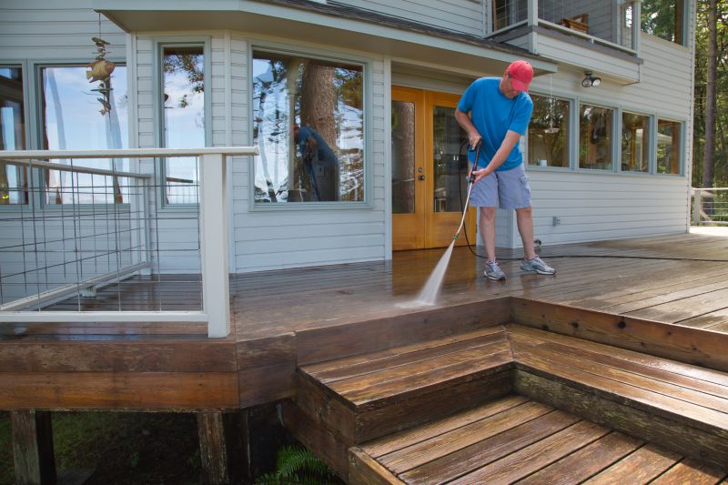 Deck Mold Cleaning
